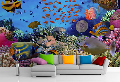 Fototapeta Morské živočíchy